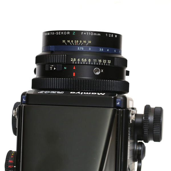 Mamiya RZ PROII + 110mm f2.8 + AE prisma + 120 mag.